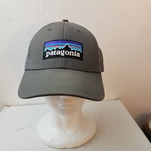 Patagonia Big Label Grey Trucker Mesh Cap